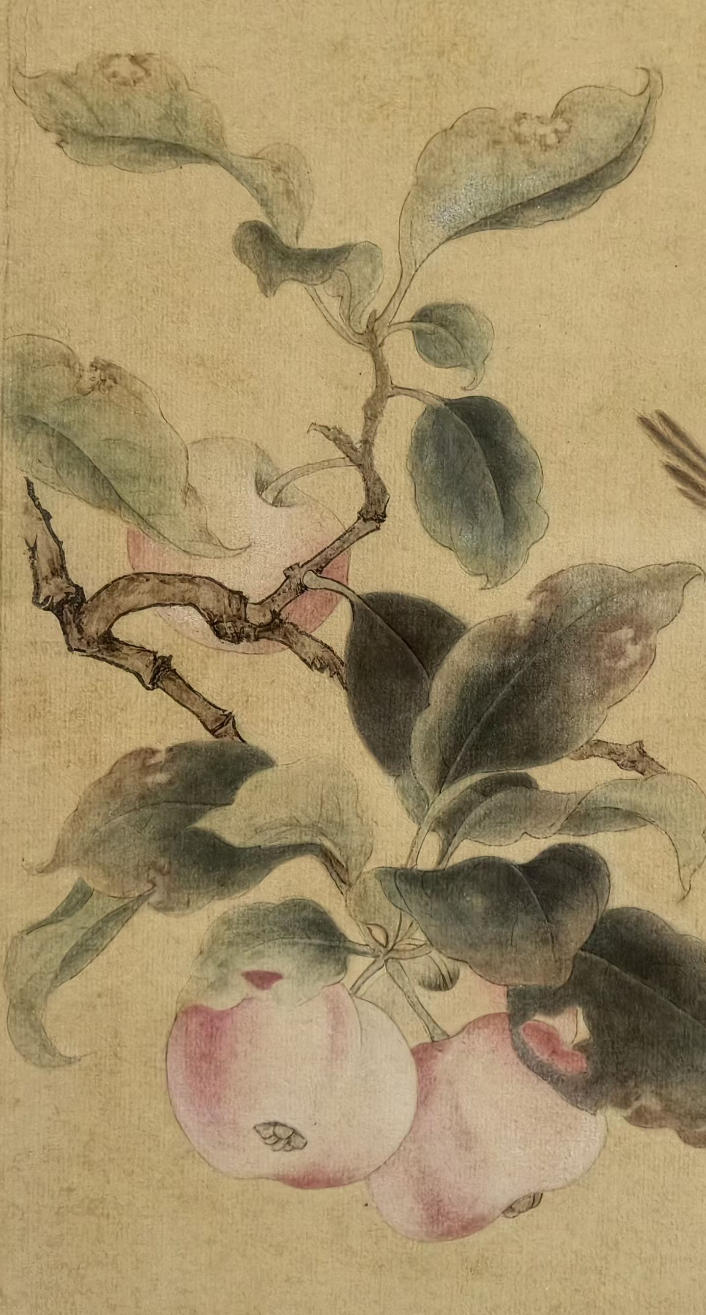 微信图片_20260729104912_25_4.jpg